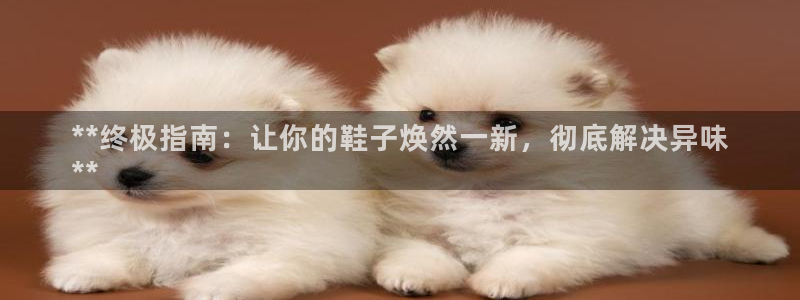 尊龙凯时人生就是搏官：**终极指南：让你的鞋子焕然一新，