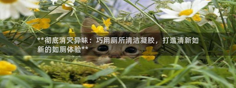 尊龙登录地址
