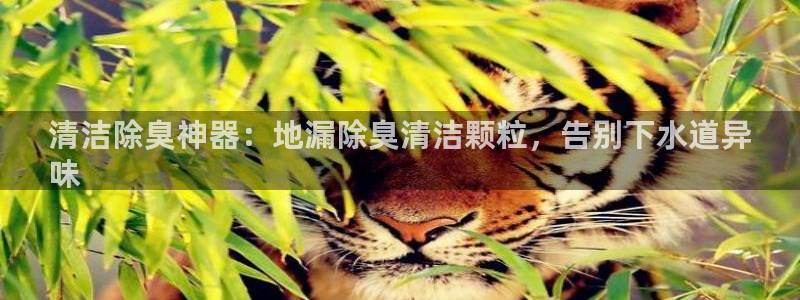 尊龙凯时z6官网