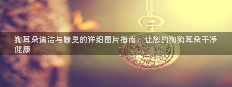 尊龙凯时平台官网