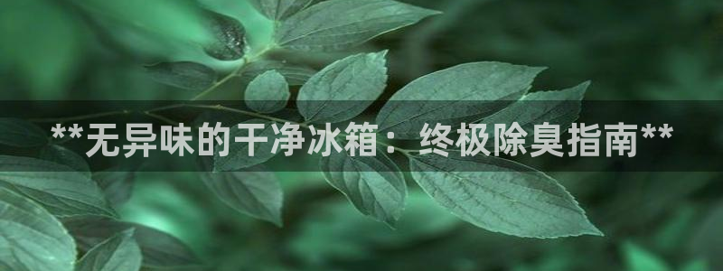 尊龙凯时代理官网入口：**无异味的干净冰箱：终极除臭指南