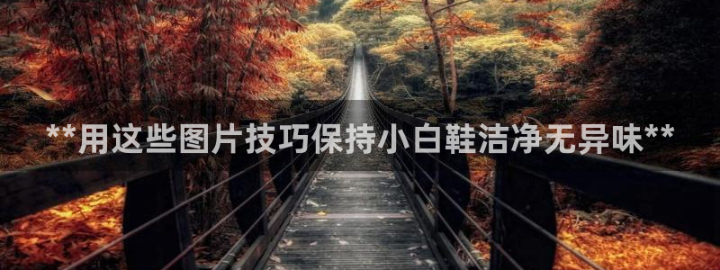 尊龙官方平台