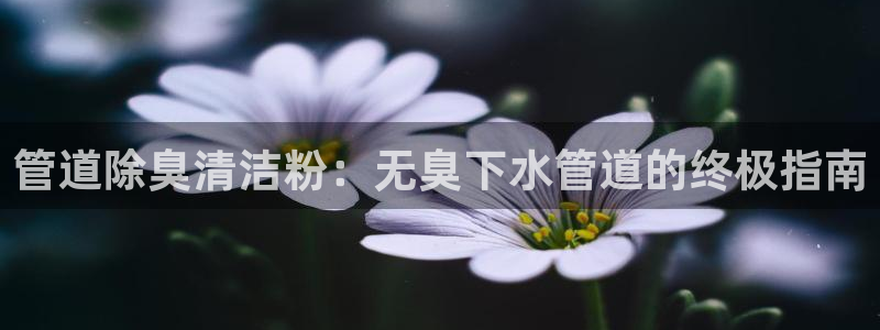 尊龙凯时取款24小时不到账