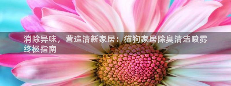 d88尊龙官网手机app