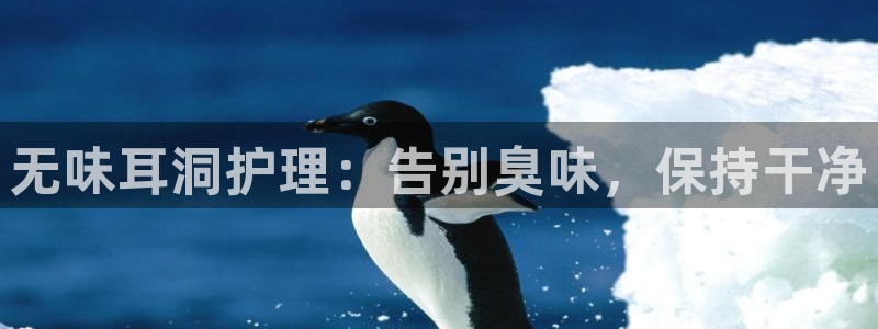 尊龙服饰有限公司地址