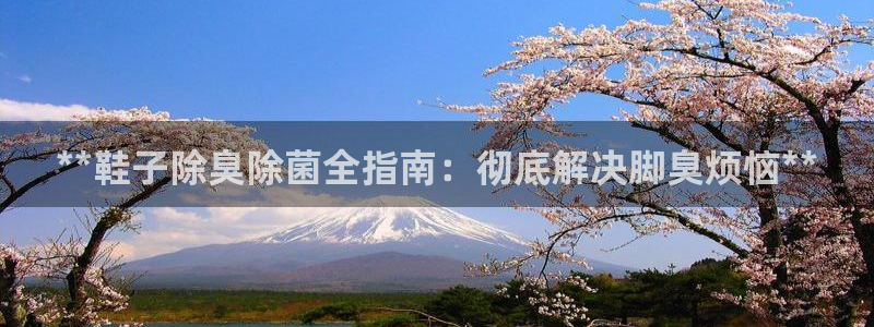 尊龙凯时赢不了