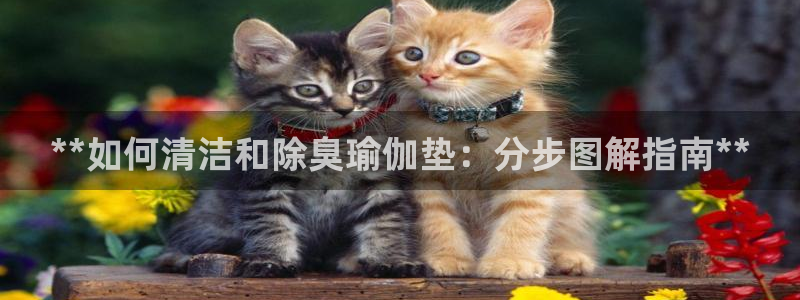 尊龙凯时人生就是搏官方网站