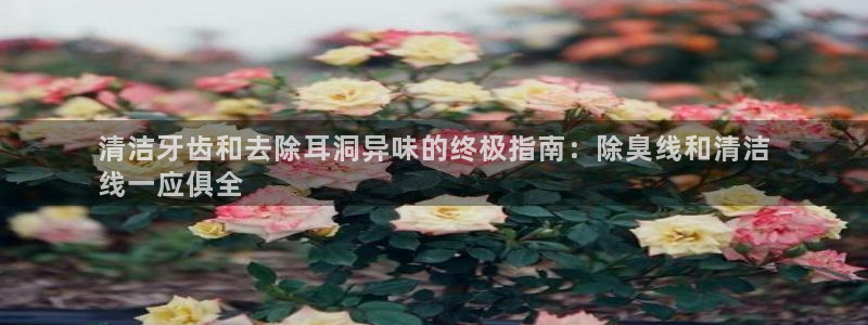 尊龙现金推荐ag发财网