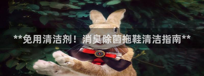 z6尊龙官网：**免用清洁剂！消臭除菌拖鞋清洁指南**