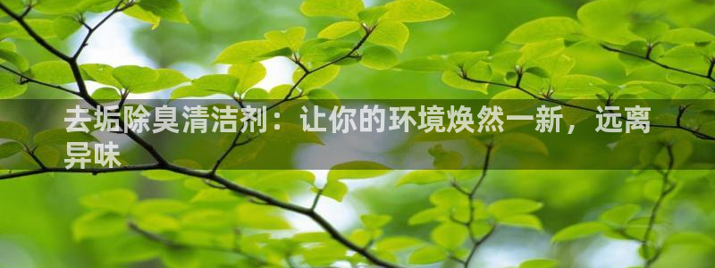 尊龙凯时产品系列：去垢除臭清洁剂：让你的环境焕然一新，远