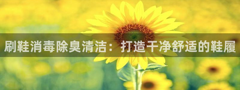 尊龙手机端下载