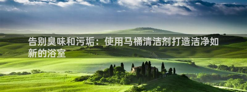 尊龙d88手机登录免费下载：告别臭味和污垢：使用马桶清洁