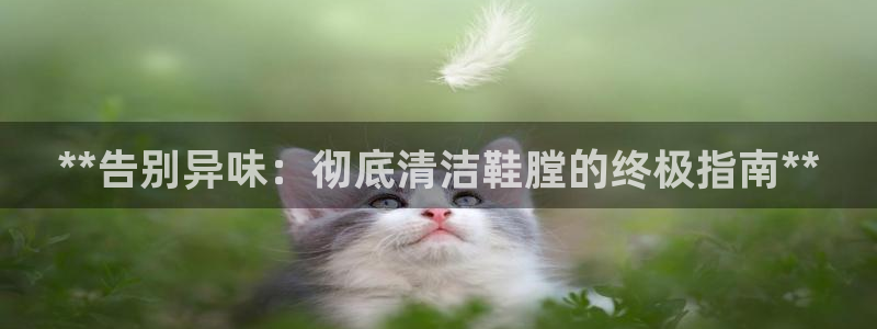 凯时在线平台官网