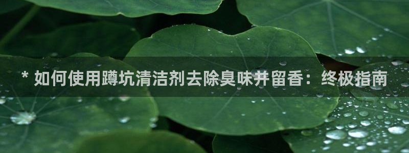 尊龙会ktv价格：* 如何使用蹲坑清洁剂去除臭味并留香：