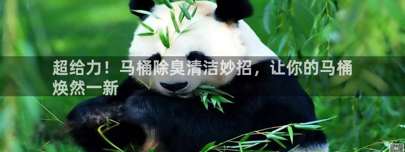 尊龙ag旗舰厅官网·(中国)官方入口：超给力！马桶除臭清