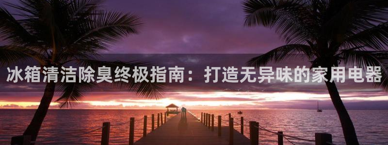 尊龙AG旗舰厅官网：冰箱清洁除臭终极指南：打造无异味的家