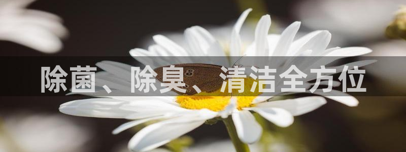 Z6尊龙官网入口：除菌、除臭、清洁全方位