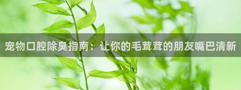 尊龙网址登录官网：宠物口腔除臭指南：让你的毛茸茸的朋友嘴