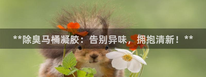 z6com尊龙凯时百家乐下载