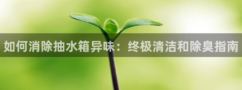 尊龙凯时输钱的原因：如何消除抽水箱异味：终极清洁和除臭指