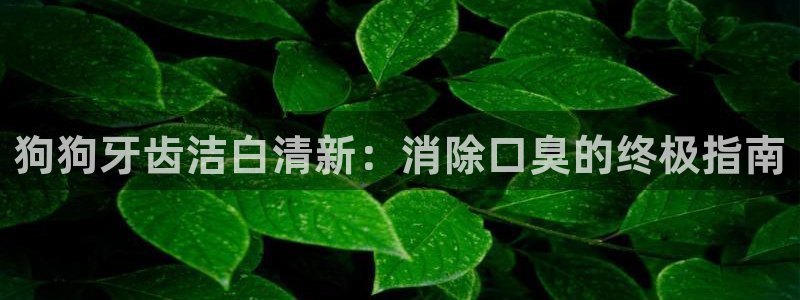 尊龙凯时能做退米么