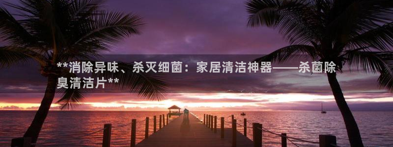 尊龙z6网址：**消除异味、杀灭细菌：家居清洁神器——杀