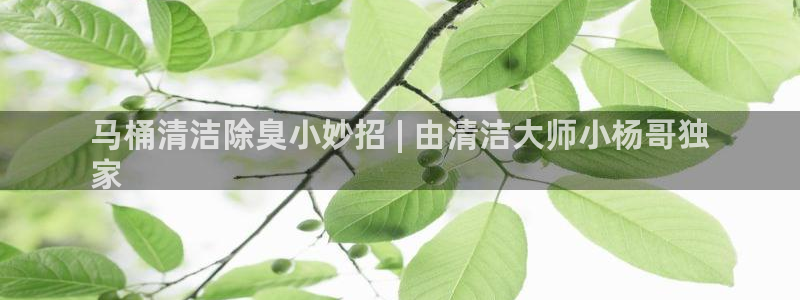 尊龙凯时：马桶清洁除臭小妙招 | 由清洁大师小杨哥独
家