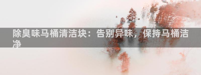 z6尊龙凯时旗舰厅：除臭味马桶清洁块：告别异味，保持马桶