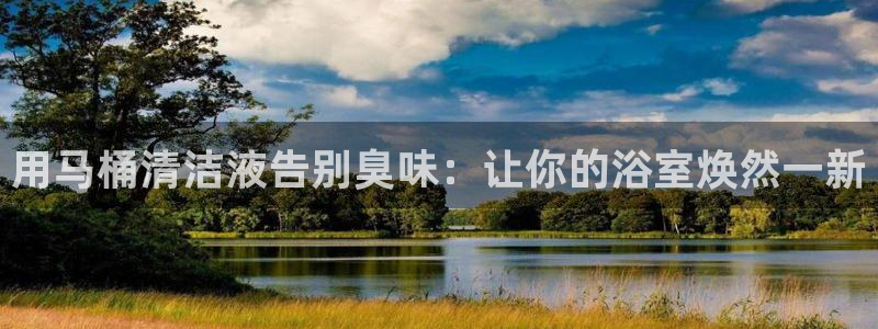 尊龙贴吧：用马桶清洁液告别臭味：让你的浴室焕然一新