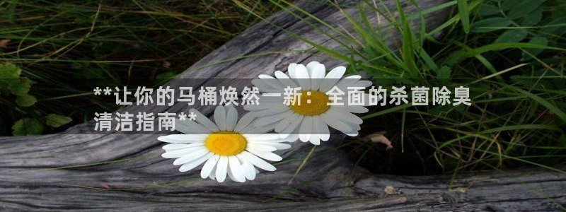尊龙凯时网