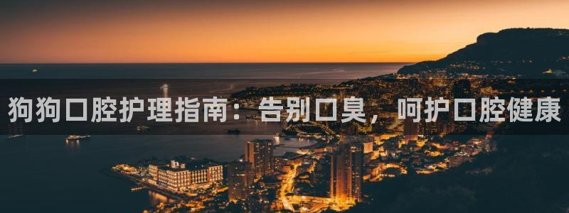 尊龙集团：狗狗口腔护理指南：告别口臭，呵护口腔健康
