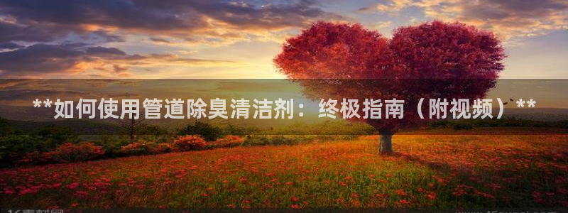 尊龙凯时只输不赢