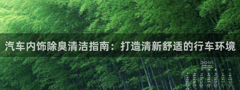 尊龙王t400：汽车内饰除臭清洁指南：打造清新舒适的行车
