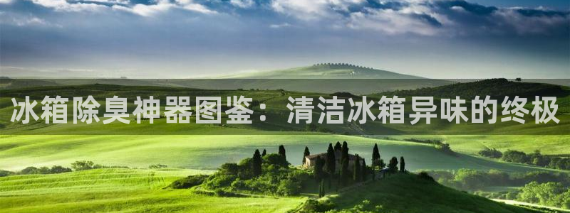 尊龙 贴吧