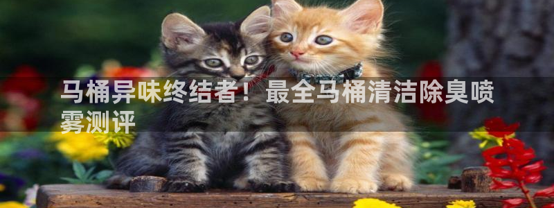 尊龙凯时导航菜单首页：马桶异味终结者！最全马桶清洁除臭喷