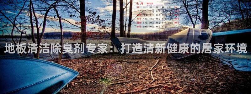 尊龙d88平台登录：地板清洁除臭剂专家：打造清新健康的居