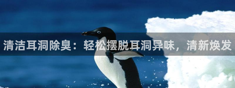 z6com尊龙凯时代理