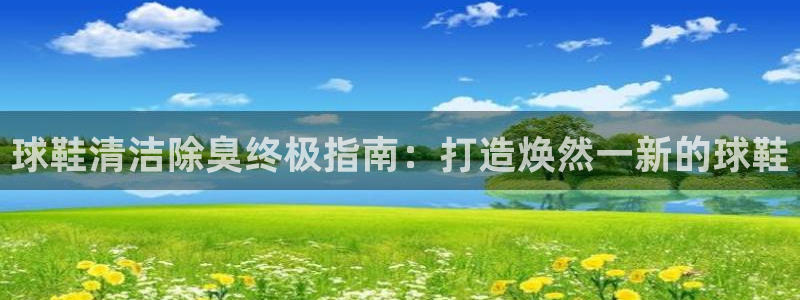尊龙人生就是博旧版手机可靠送38元：球鞋清洁除臭终极指南