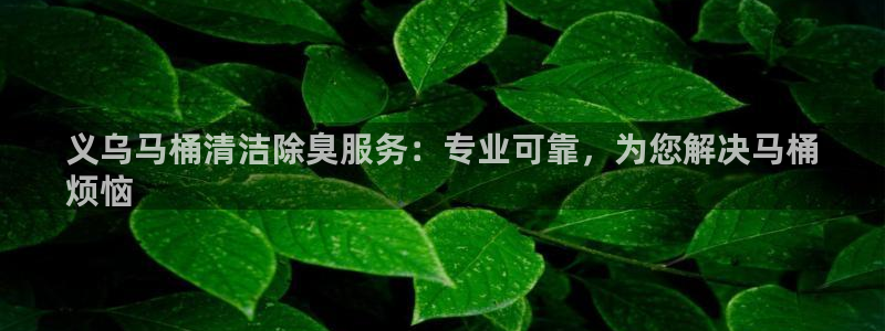 尊龙凯时百家乐手机下载：义乌马桶清洁除臭服务：专业可靠，