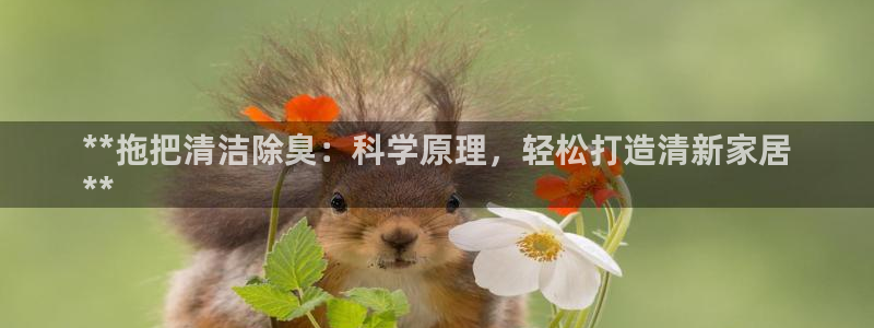 尊龙凯时充十万返现多少