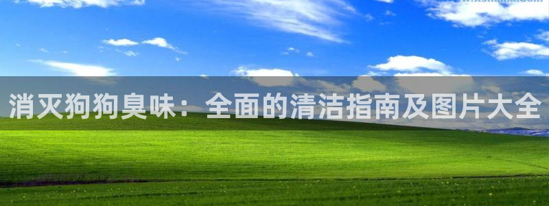 尊龙凯时泰安