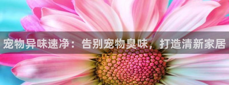 K66凯时国际平台官网