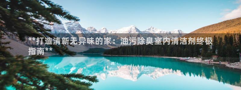 尊龙电子：**打造清新无异味的家：油污除臭室内清洁剂终极