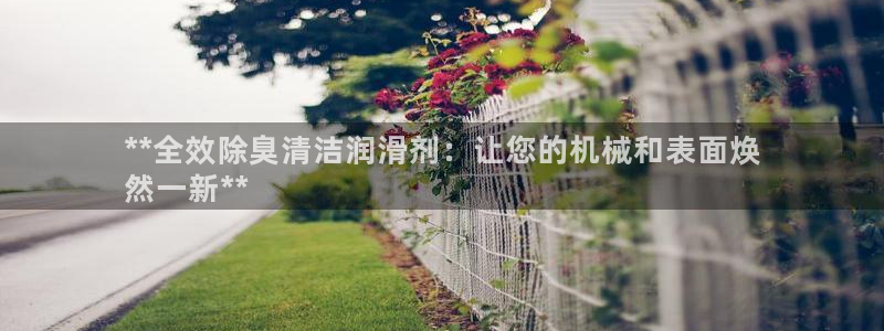 尊龙长相评价：**全效除臭清洁润滑剂：让您的机械和表面焕