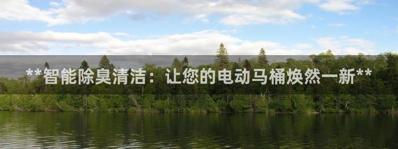 尊龙凯时人生就是博中国官网：**智能除臭清洁：让您的电动