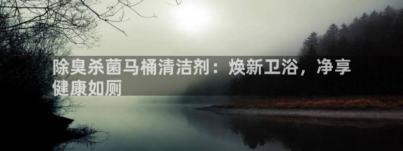 尊龙凯时 人生就是搏!平台：除臭杀菌马桶清洁剂：焕新卫浴