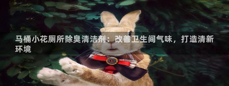 尊龙人生手机版都去ag发财网：马桶小花厕所除臭清洁剂：改