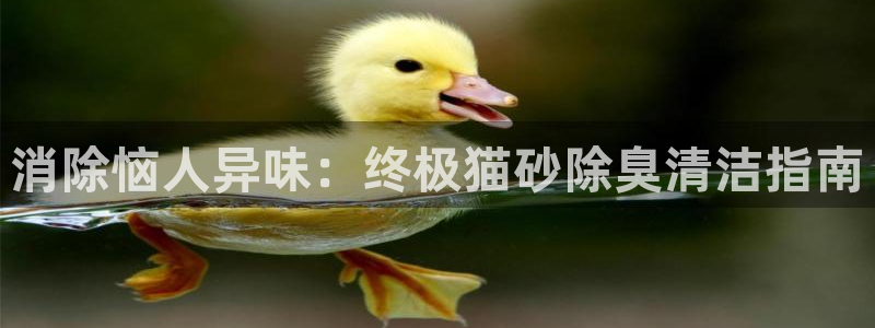 尊龙凯时网站是什么地方人开的：消除恼人异味：终极猫砂除臭
