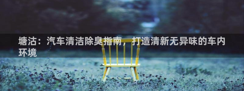 尊龙凯时 人生就是搏客服：塘沽：汽车清洁除臭指南，打造清