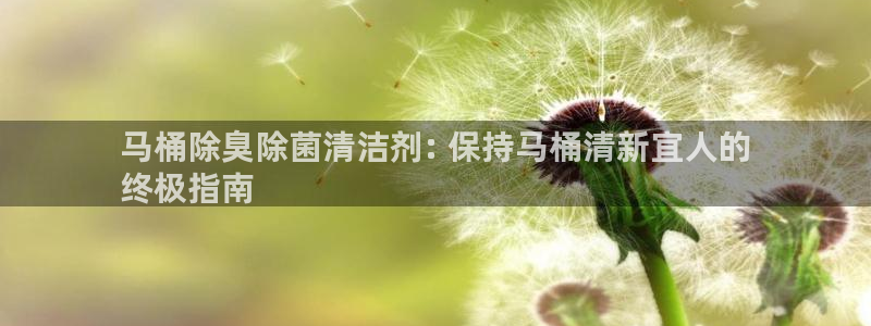 尊龙凯时 人生就是搏!平台：马桶除臭除菌清洁剂: 保持马